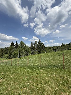 Купить земельный участок Московская область, Дмитровский муниципальный округ, деревня Парамоново 4300000 рублей