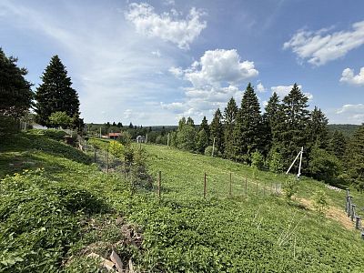 Купить земельный участок Московская область, Дмитровский муниципальный округ, деревня Парамоново 4300000 рублей