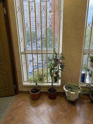 Купить квартиру г Москва, ул Новочерёмушкинская, д 49 к 1 32600000 рублей