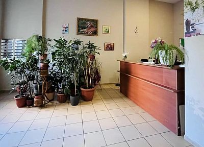 Купить квартиру г Реутов, ул Новая, д 18 17500000 рублей