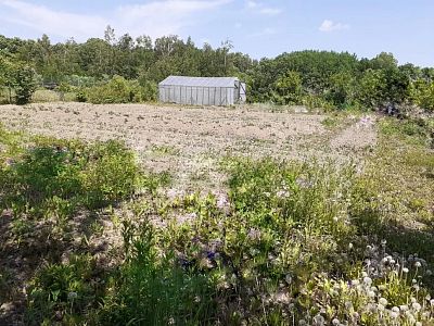 Купить дом село Матвеевка, ул Тамбовская 7000000 рублей