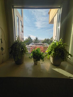 Фото 6