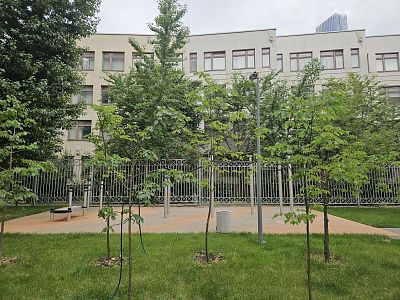 Купить квартиру г Москва, Кутузовский пр-кт, д 22 36000000 рублей