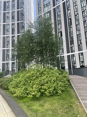 Купить квартиру г Москва, Береговой пр-д, д 5А к 6 32500000 рублей