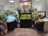 Купить квартиру г Москва, Неманский пр-д, д 13 к 1 23200000 рублей