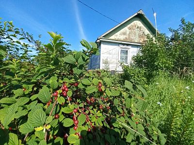 Купить дом село Корсаково-1, ул Набережная, д 28 4500000 рублей