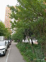 Купить квартиру г Москва, ул Полины Осипенко, д 16 23000000 рублей