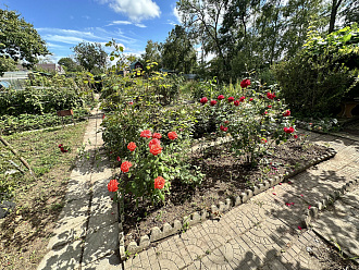 Фото 5
