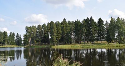 Купить квартиру г Одинцово, деревня Ликино, д 103А 12950000 рублей