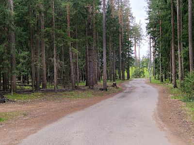 Купить готовый бизнес Владимирская область, Киржачский муниципальный округ, деревня Красный Огорок, КП Сосновые Озёра 21000000 рублей