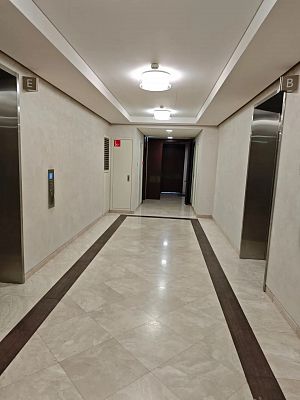 Купить квартиру г Москва, Пресненская наб, д 8 стр 1 243000000 рублей