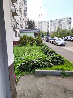 Купить квартиру г Москва, пр-д Одоевского, д 7 к 3 25000000 рублей