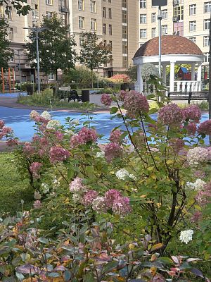 Купить квартиру г Москва, б-р Андрея Тарковского, д 3 17500000 рублей