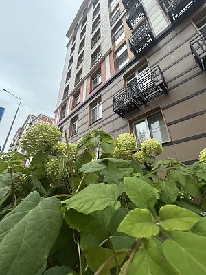 Купить квартиру г Москва, б-р Андрея Тарковского, д 5 25000000 рублей