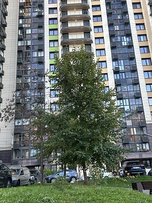 Купить квартиру г Москва, ул Анны Ахматовой, д 20 18300000 рублей