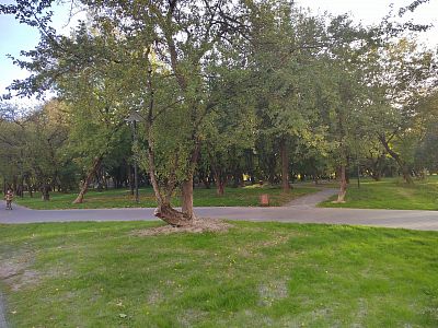 Купить квартиру г Москва, Аминьевское шоссе, д 4Д к 1 28300000 рублей