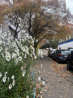 Купить квартиру г Москва, ул Паустовского, д 3 23000000 рублей