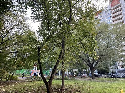 Купить квартиру г Москва, ул Яблочкова, д 29 15100000 рублей