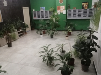 Фото 6