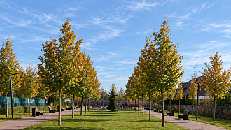Фото 33