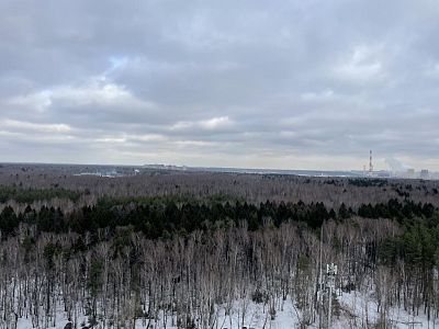 Купить квартиру г Мытищи, поселок Нагорное, ул Полковника Романова, д 7 к 1 7990000 рублей