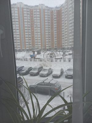 Купить квартиру г Москва, ул Бориса Пастернака, д 23 13500000 рублей