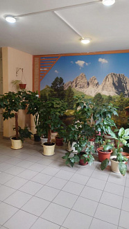 Фото 6