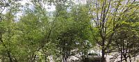 Купить квартиру г Москва, ул Барышиха, д 33 к 1 21990000 рублей