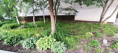 Купить квартиру г Москва, ул Барышиха, д 22 к 2 16400000 рублей